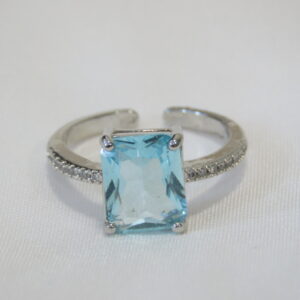 Anillo Alexandrina