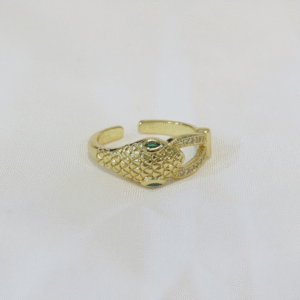 Anillo Ser